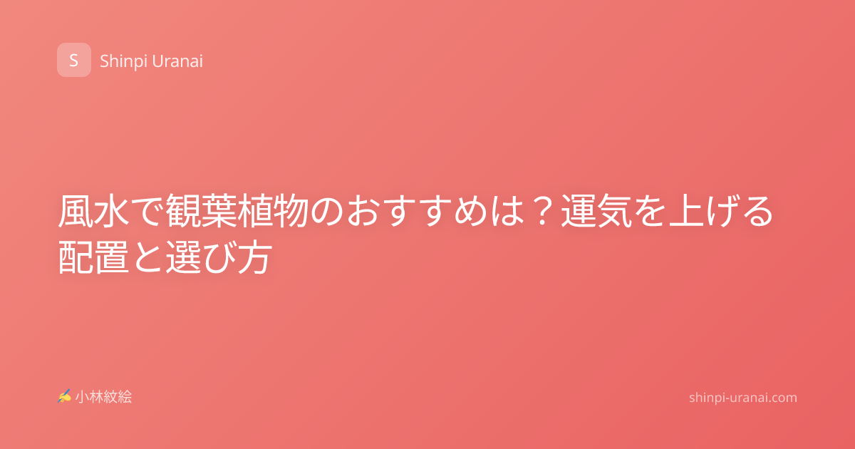 風水で観葉植物のおすすめは？運気を上げる配置と選び方